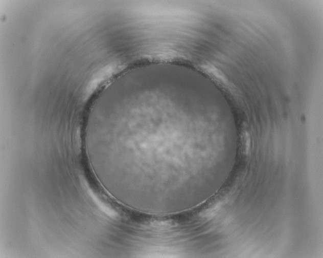 X0000088230638200706051348