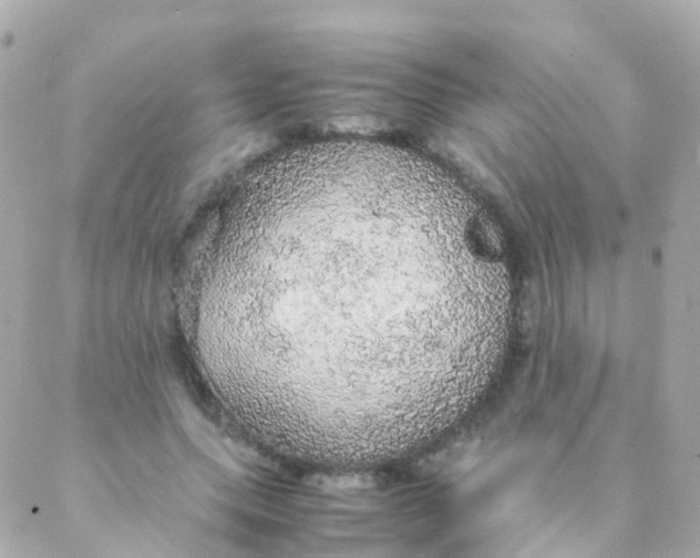 X0000088230639200706051348