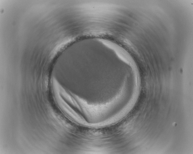 X0000088230640200706051348