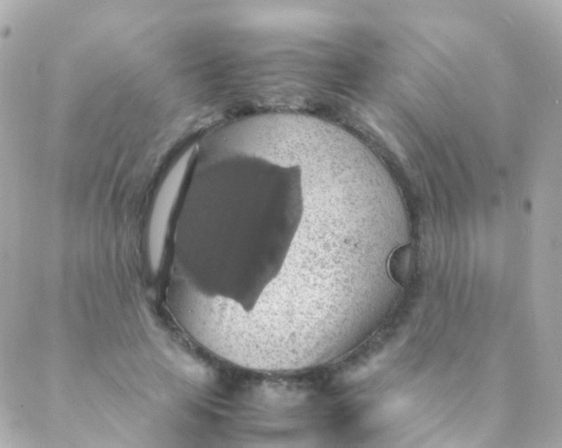 X0000088230641200706051348