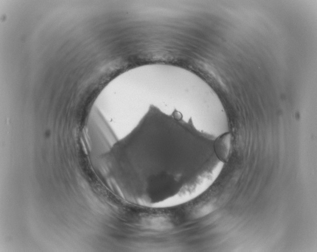 X0000088230643200706051348