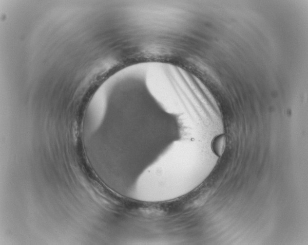 X0000088230644200706051348