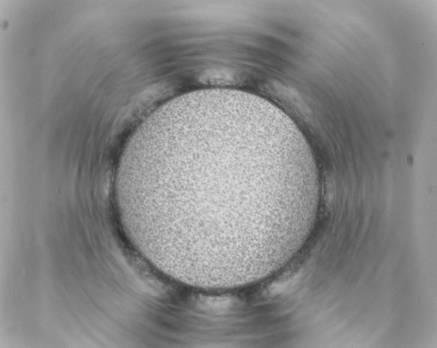 X0000088230645200706051349