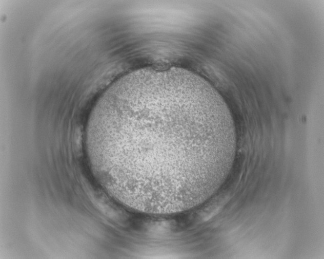 X0000088230646200706051349