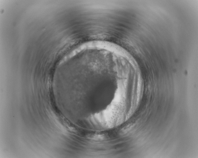 X0000088230647200706051349