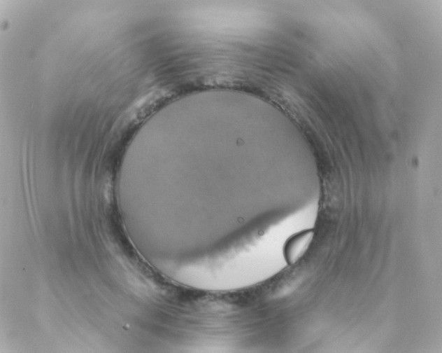 X0000088230648200706051349