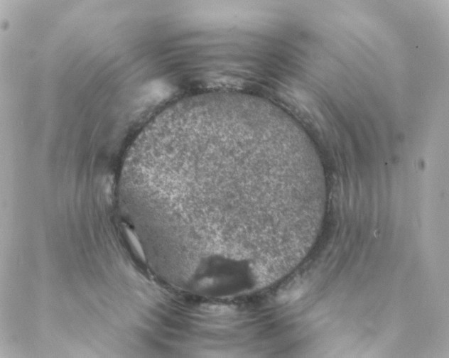 X0000088230649200706051349