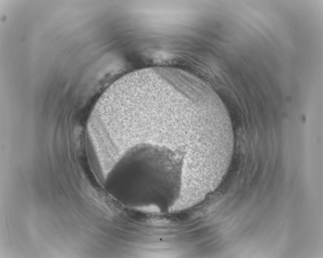 X0000088230650200706051349