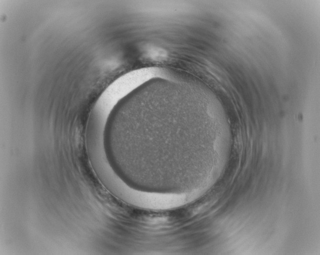 X0000088230651200706051349