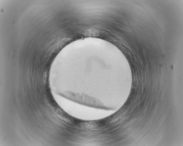 X0000088230652200706051349