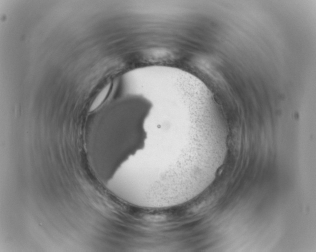 X0000088230653200706051349