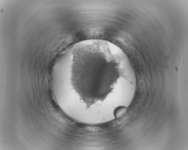 X0000088230654200706051349