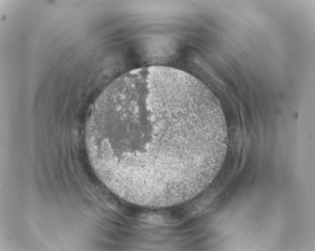 X0000088230655200706051349