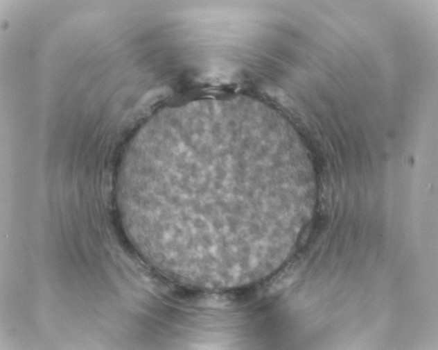 X0000088230656200706051349