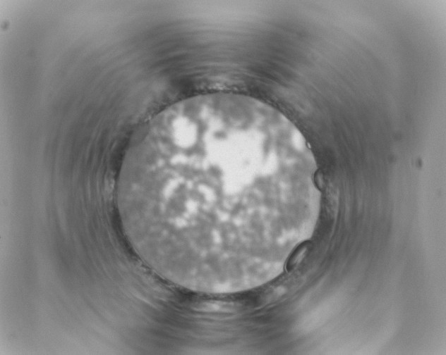 X0000088230657200706051349