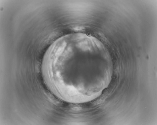 X0000088230658200706051349