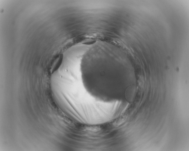 X0000088230659200706051349