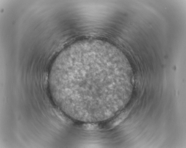 X0000088230660200706051349