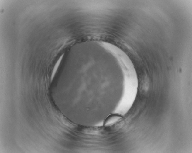 X0000088230661200706051349