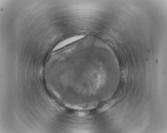 X0000088230662200706051349