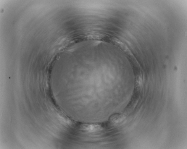 X0000088230663200706051349