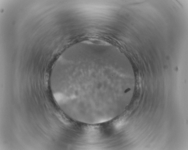 X0000088230664200706051349