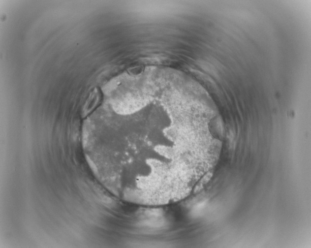 X0000088230665200706051349