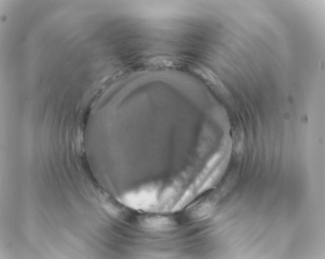 X0000088230669200706051349