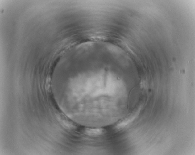 X0000088230671200706051349