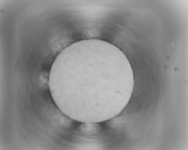 X0000088230672200706051349