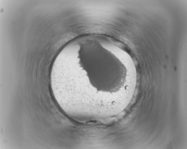 X0000088230673200706051348