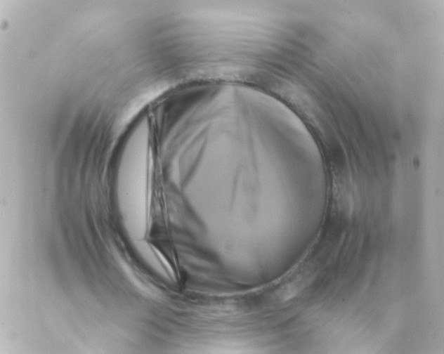 X0000088230674200706051348