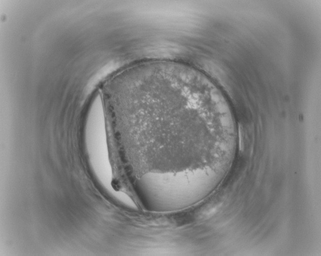 X0000088230675200706051348