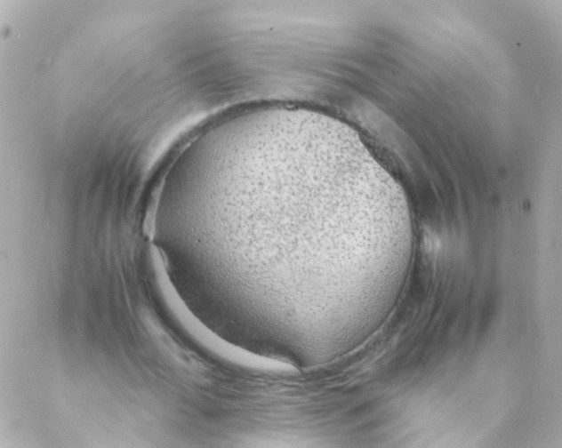 X0000088230676200706051348