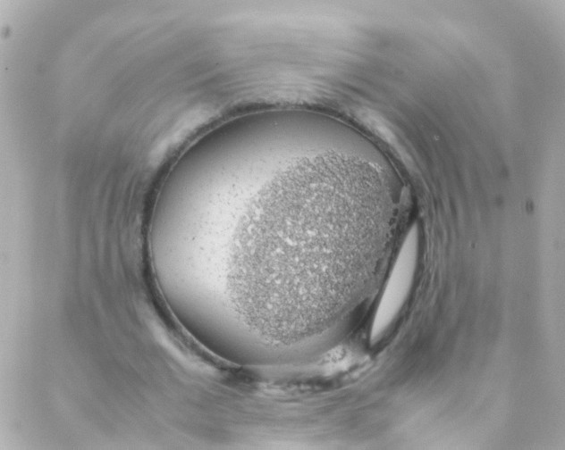 X0000088230677200706051348