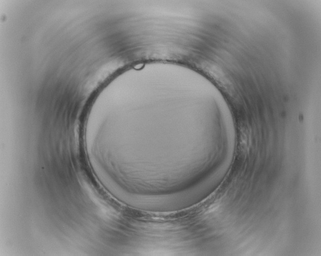 X0000088230678200706051348