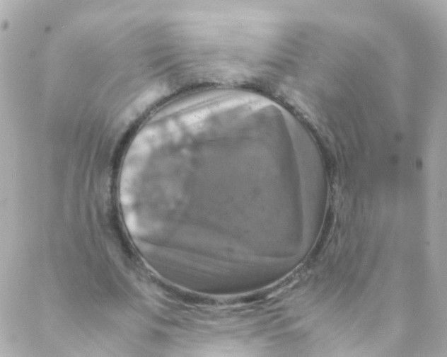 X0000088230679200706051348