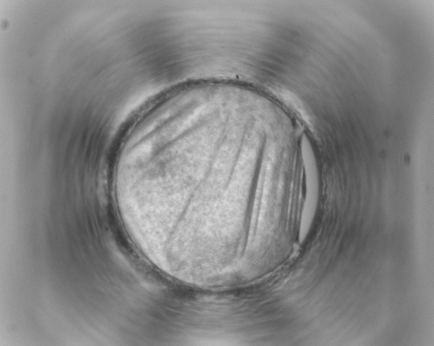 X0000088230680200706051348