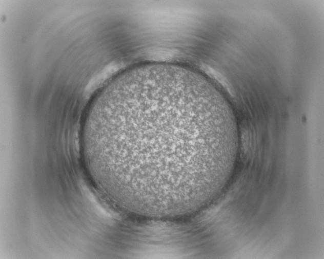 X0000088230682200706051348