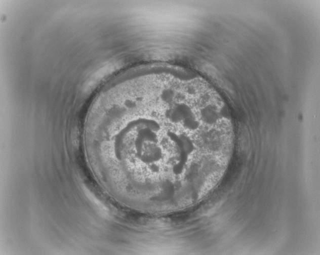 X0000088230683200706051348