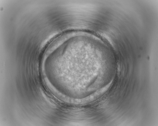 X0000088230684200706051348