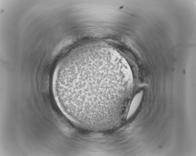 X0000088230685200706051348