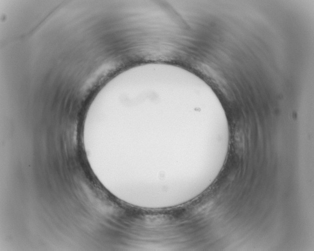 X0000088230686200706051348