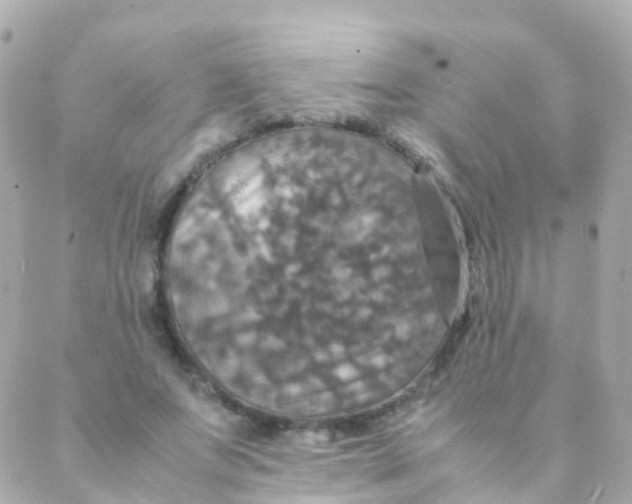 X0000088230687200706051348