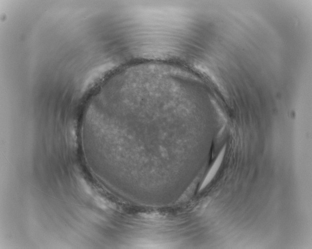 X0000088230688200706051348