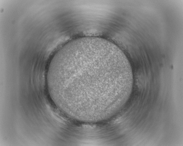 X0000088230690200706051348