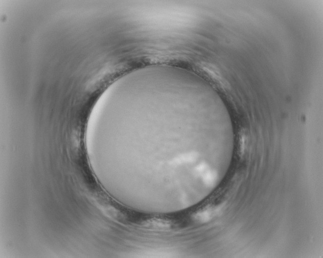 X0000088230691200706051348