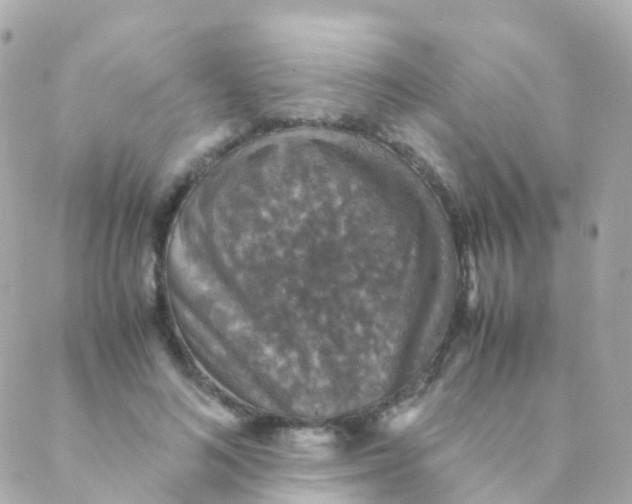 X0000088230692200706051348