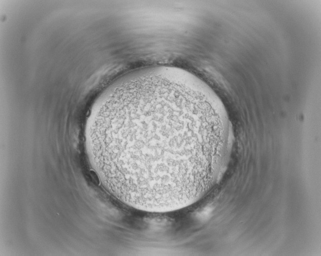 X0000088230693200706051348