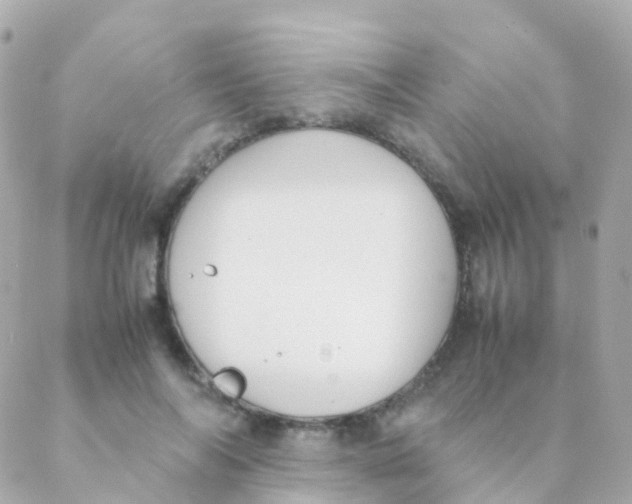 X0000088230694200706051348